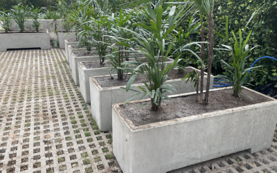 Jardineras y Macetas